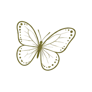 07_olive_butterfly