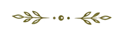 151_divider_single_dot