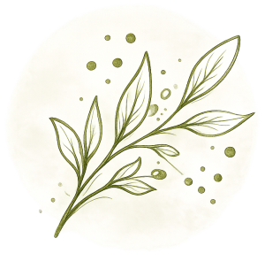 olive level